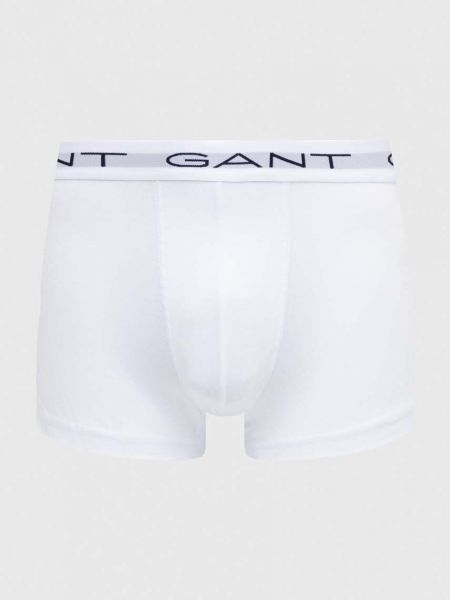 Сліпи Gant сірі