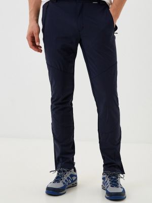 Купить мужские брюки Icepeak в интернет-магазинe