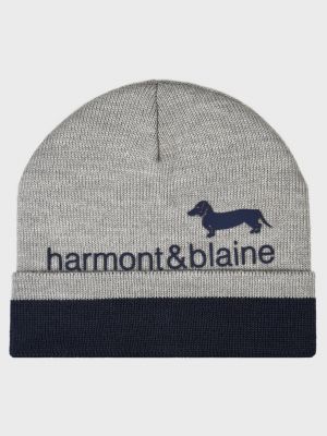 Серая шапка Harmont&blaine