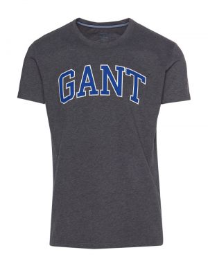 Nyomott mintás póló Gant - szürke