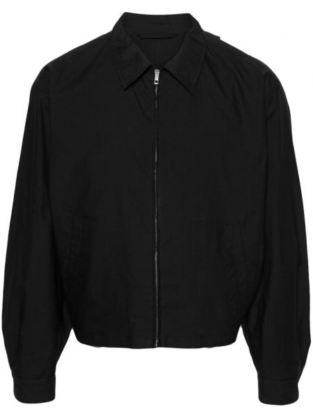 Cipzáras dzseki Lemaire fekete