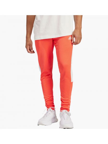Джоггери Adidas помаранчеві