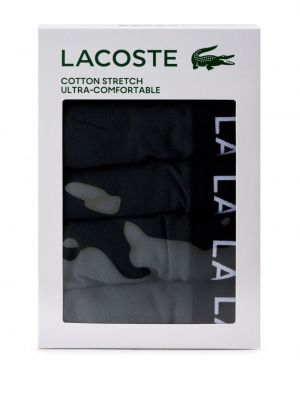 Boxershorts aus baumwoll mit print Lacoste grau