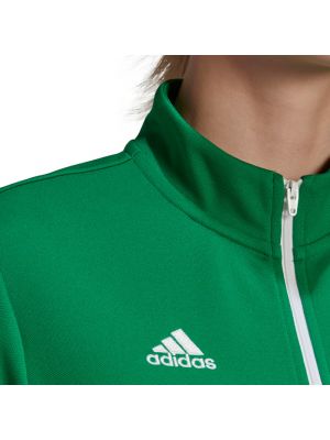 Лонгслив Adidas зеленый