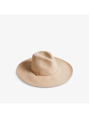 Шерстяная шапка Ted Baker коричневая