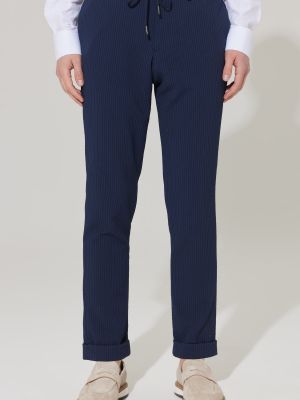 Jogger kelnės slim fit su kišenėmis Altinyildiz Classics mėlyna