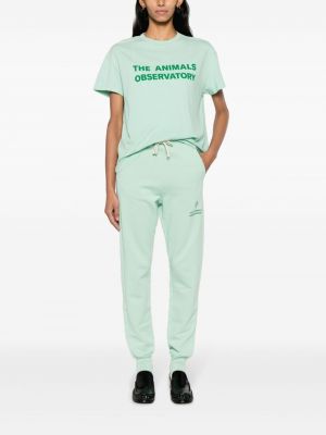Bavlněné sportovní kalhoty s potiskem The Animals Observatory zelené