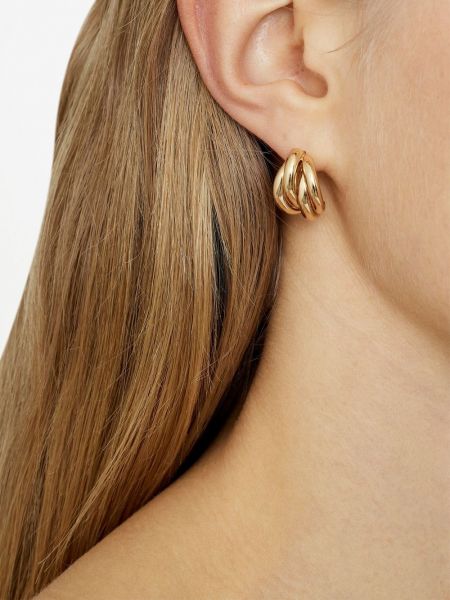 Boucles d'oreilles à boucle plaquées or Anine Bing doré