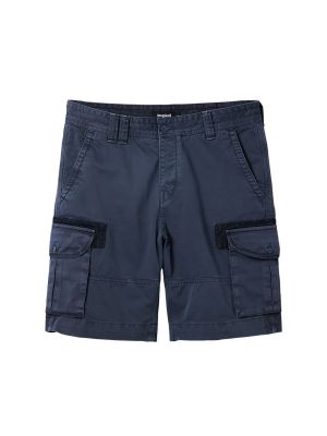 Pantalon cargo Desigual bleu