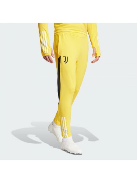 Spodnie sportowe Adidas złote