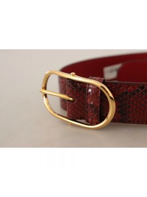 Cinturón de cuero de estampado de serpiente Dolce & Gabbana