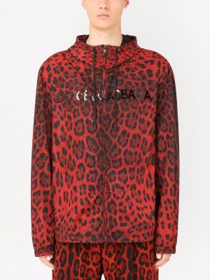Leopardí bunda s kapucí s potiskem Dolce & Gabbana