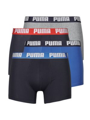 Boxer Puma
