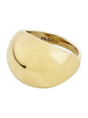 Žiedas Pilgrim auksinė