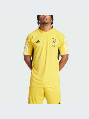 Спортивная футболка Adidas золотая