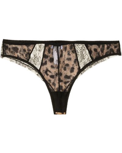 Tangas con estampado leopardo de encaje Dolce & Gabbana negro