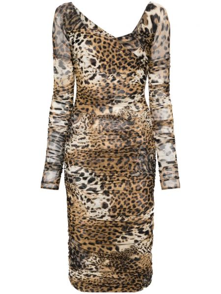 Midi šaty s potlačou s leopardím vzorom so sieťovinou Roberto Cavalli hnedá