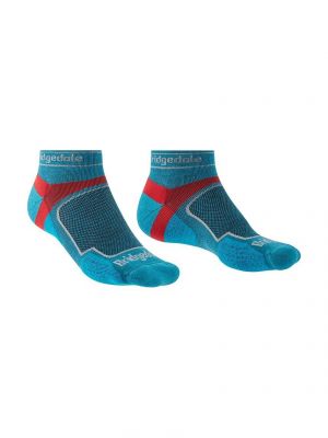 Чорапи Bridgedale синьо