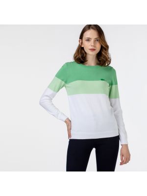 Sweter Lacoste
