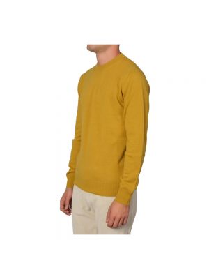 Sweter z okrągłym dekoltem Alpha Studio żółty