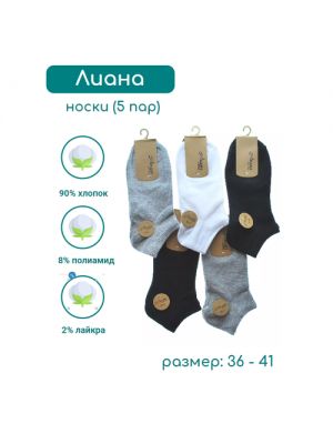 Женские носки ЛИАНА, 5 пар, мультиколор