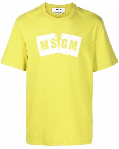 Camiseta Msgm verde