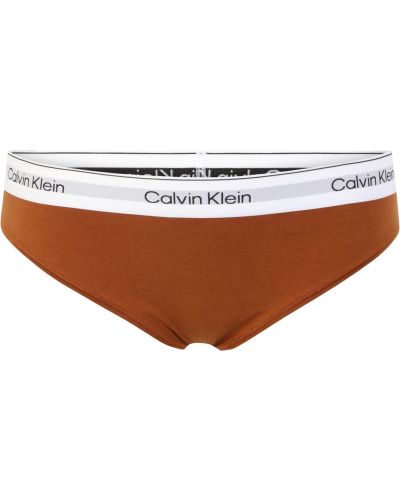 Chiloți Calvin Klein Underwear Plus maro