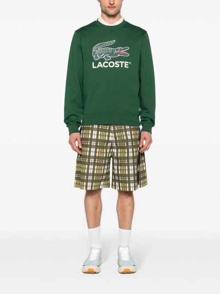 Sweatshirt aus baumwoll mit print Lacoste grün