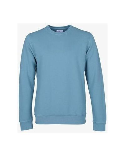 Bluza dresowa Colorful Standard