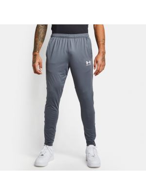 Pantaloni Under Armour grigio