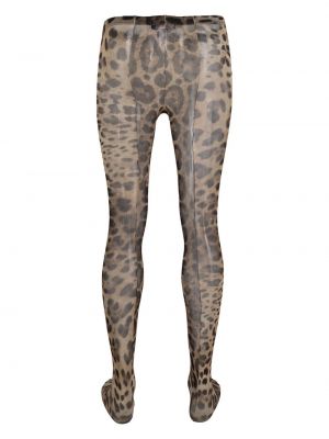 Leopardí punčocháče s potiskem Dolce & Gabbana hnědé