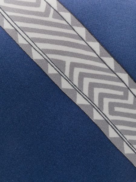 Seiden krawatte mit federn mit print Hermès blau