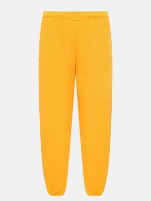 Спортивные штаны Replay оранжевые