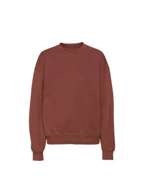 Sweatshirt Colorful Standard braun