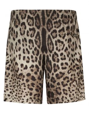 Shorts mit print mit leopardenmuster Dolce & Gabbana braun