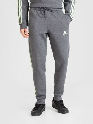 Sportinės kelnes Adidas Sportswear pilka