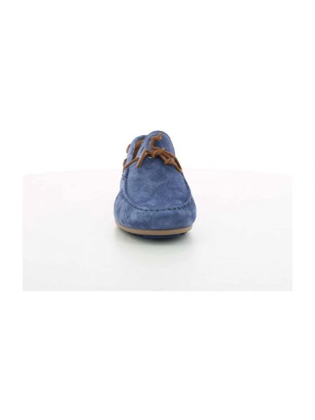 Calzado Floris Van Bommel azul