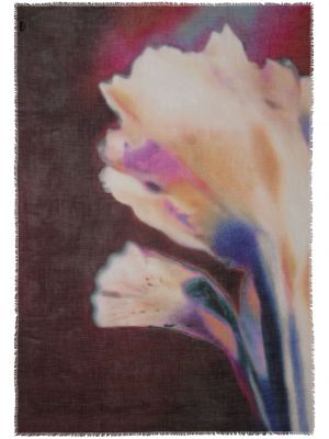 Echarpe à fleurs à imprimé Alexander Mcqueen