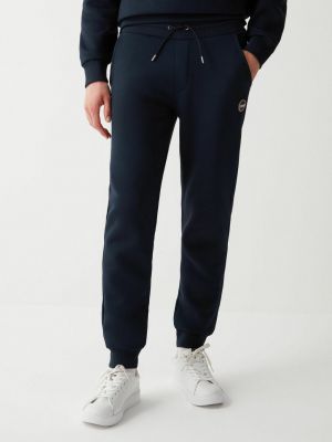 Спортивные брюки BRUSHED BLEND Colmar Originals синий