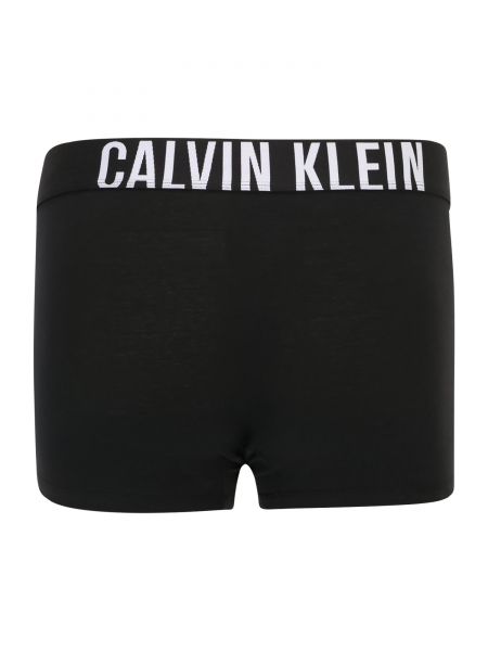 Боксерки Calvin Klein Underwear Plus