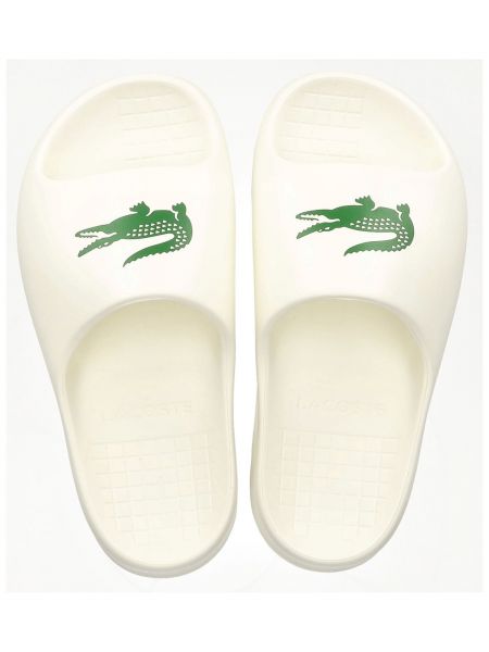 Tongs Lacoste