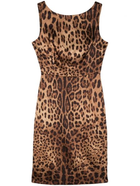 Raštuotas tiesi suknele leopardinis Dolce & Gabbana Pre-owned
