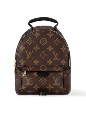 Рюкзак Louis Vuitton коричневый