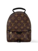 Женские рюкзаки Louis Vuitton