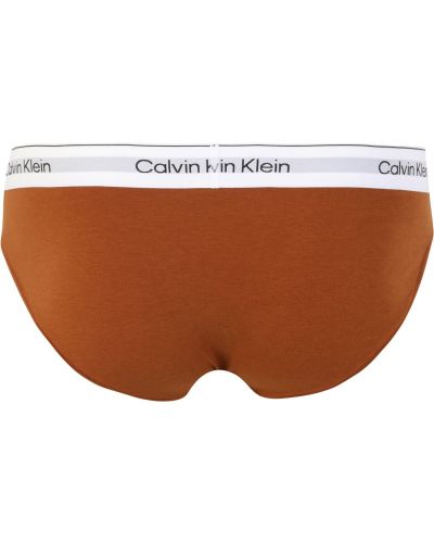 Chiloți Calvin Klein Underwear Plus maro