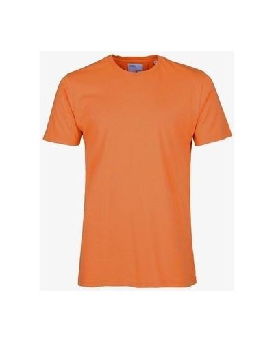 T-shirt Colorful Standard