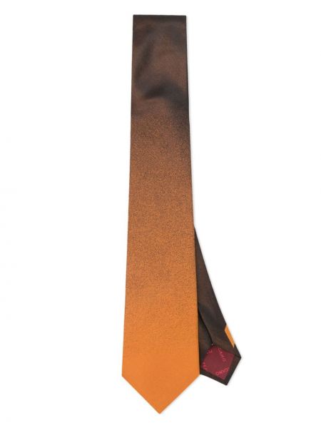 Zīda kaklasaite Ferragamo