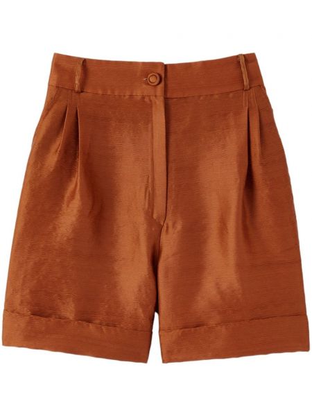 Shorts Destree marron
