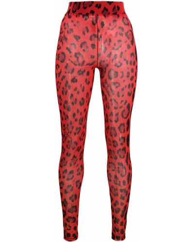 Leopard trykt leggings Philipp Plein rød