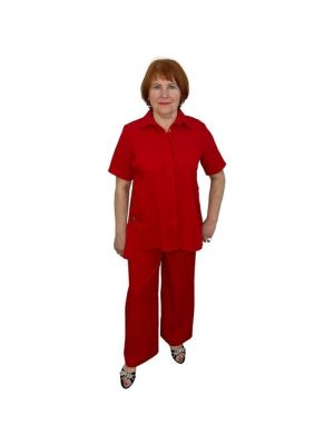 Костюм , блуза и брюки, повседневный стиль, прямой силуэт, пояс на резинке, 50 красный